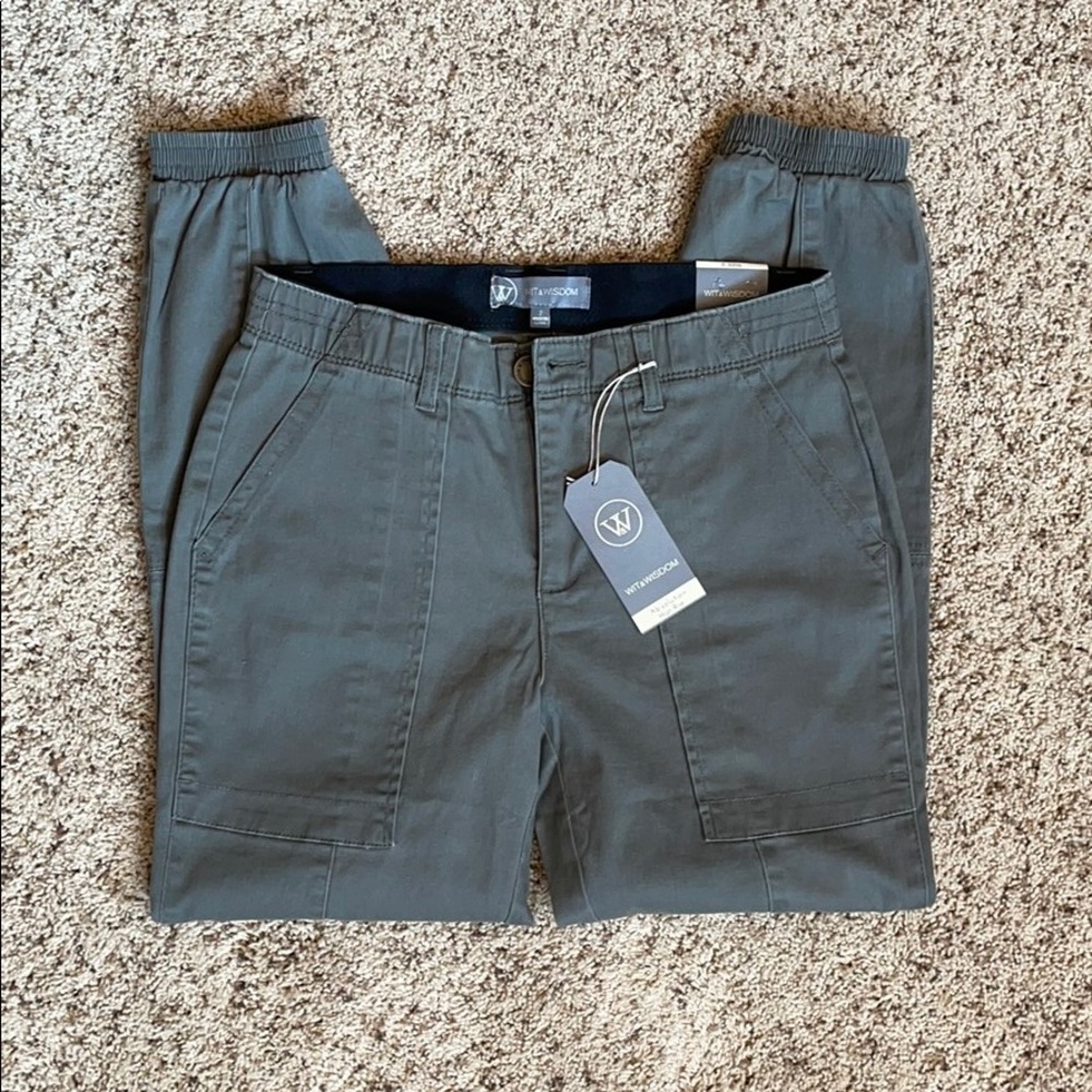 NWT Wit & Wisdom “Ab”solution Joggers